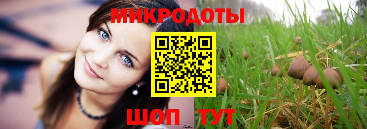 Галлюциногенные грибы Cubensis  Галлюциногенные грибы Magic Shrooms  Балашов  Вход с VPN 